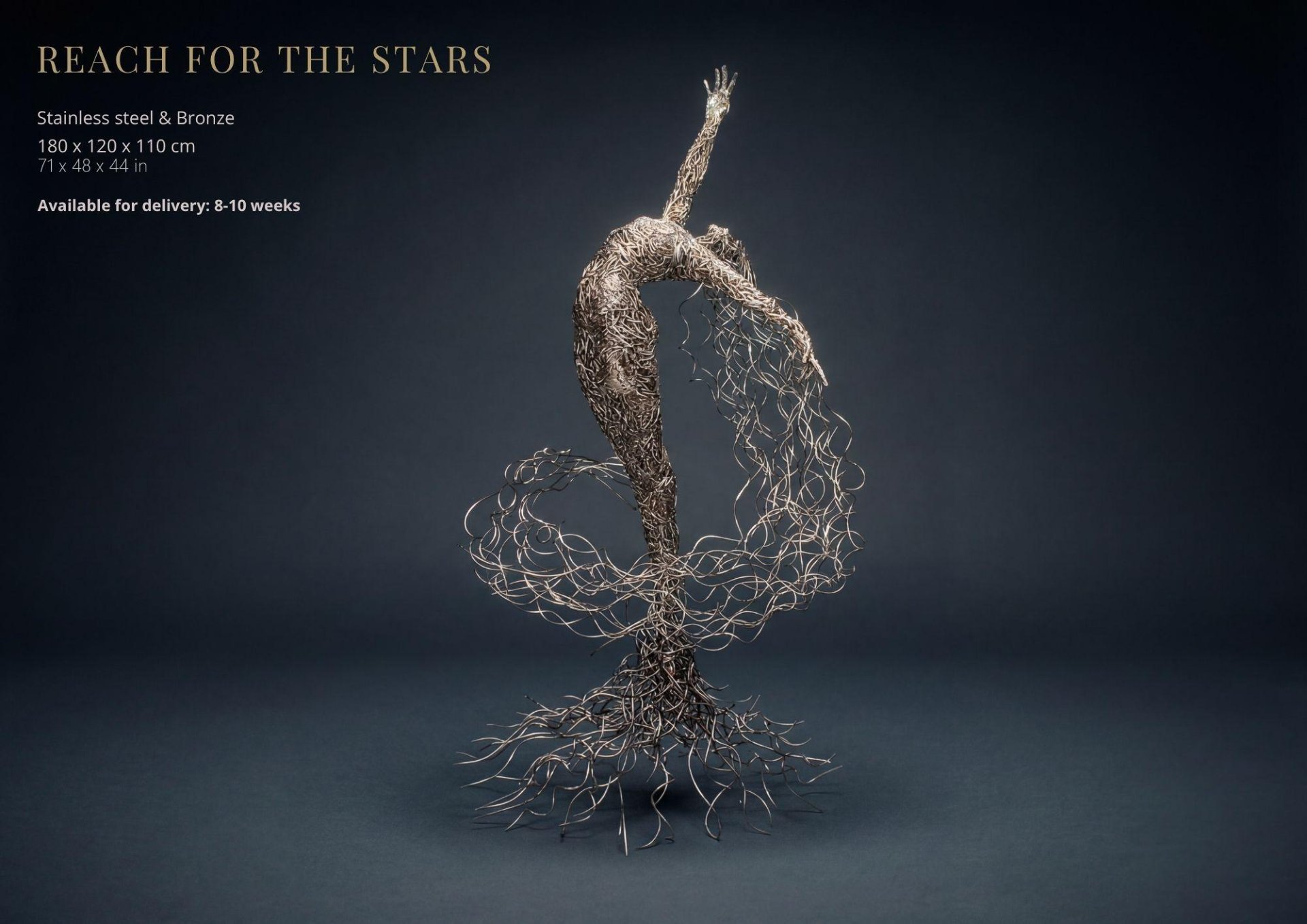 Reach for the Stars